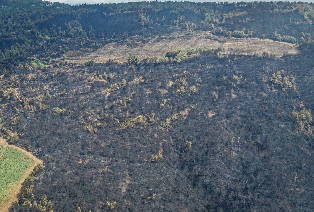 Sakarya'da başlayan yangın kontrolden çıktı: Bilecik'in ormanları siyaha büründü 1